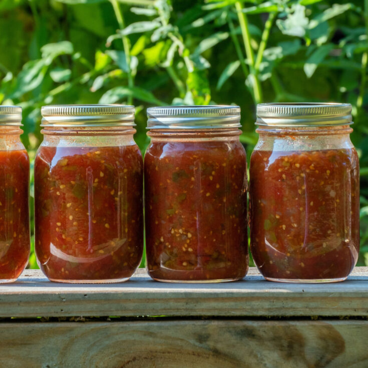 Easy Mild Salsa Recipe A Canning Recipe Guide