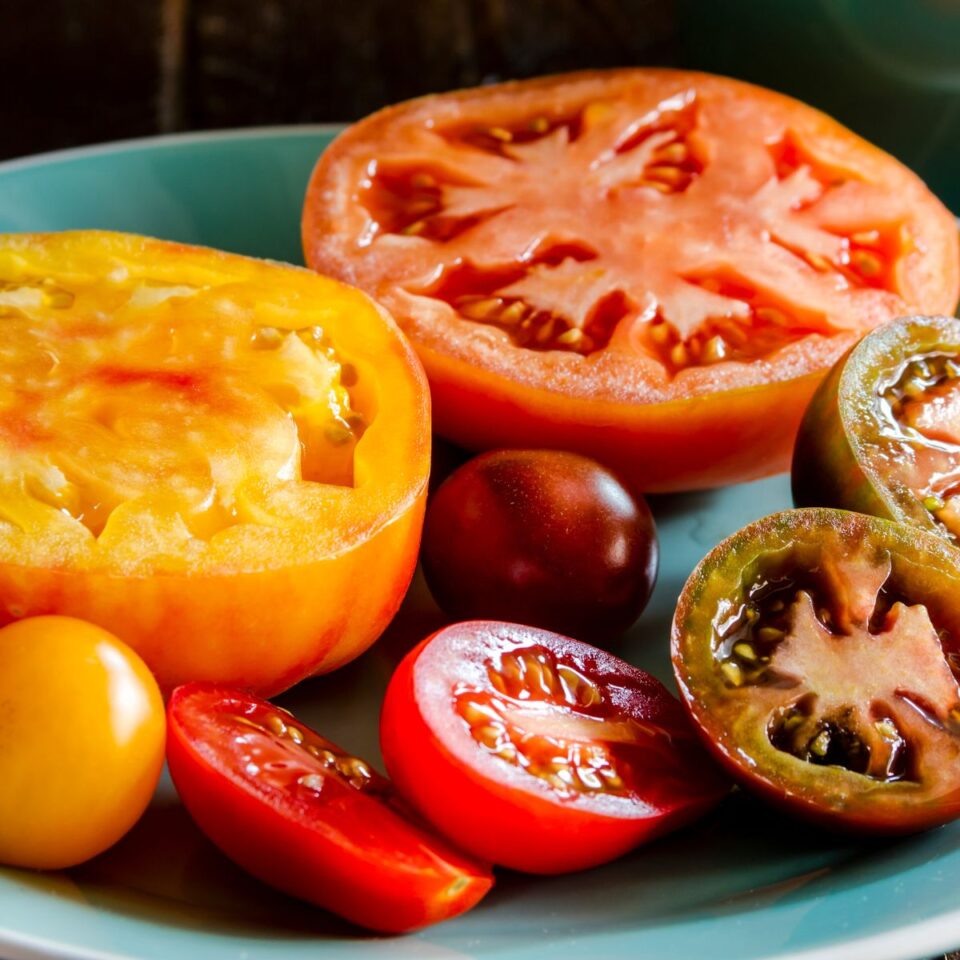 how-to-save-heirloom-tomato-seeds