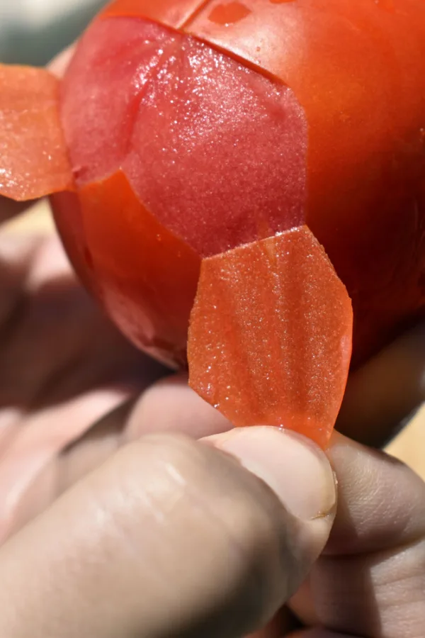 A hand peeling a tomato.