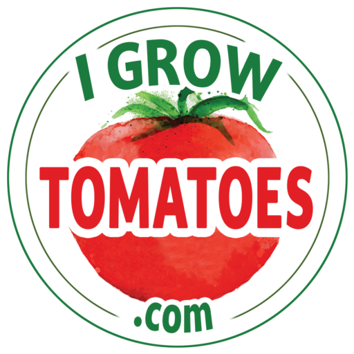 I Grow Tomatoes