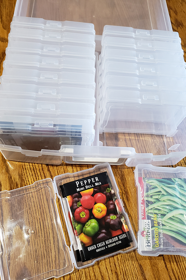 Seed packets being stored in a plastic photo storage box. 