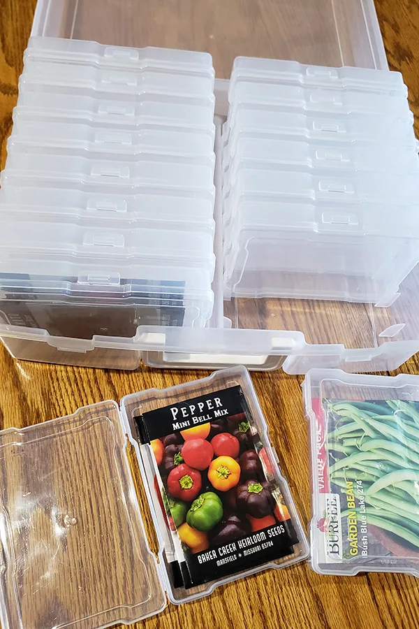 Seed packets being stored in a plastic photo storage box. 