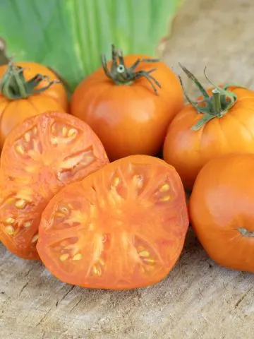 Several ripe Amana Orange tomatoes sitting on a wooden table with one sliced in half.