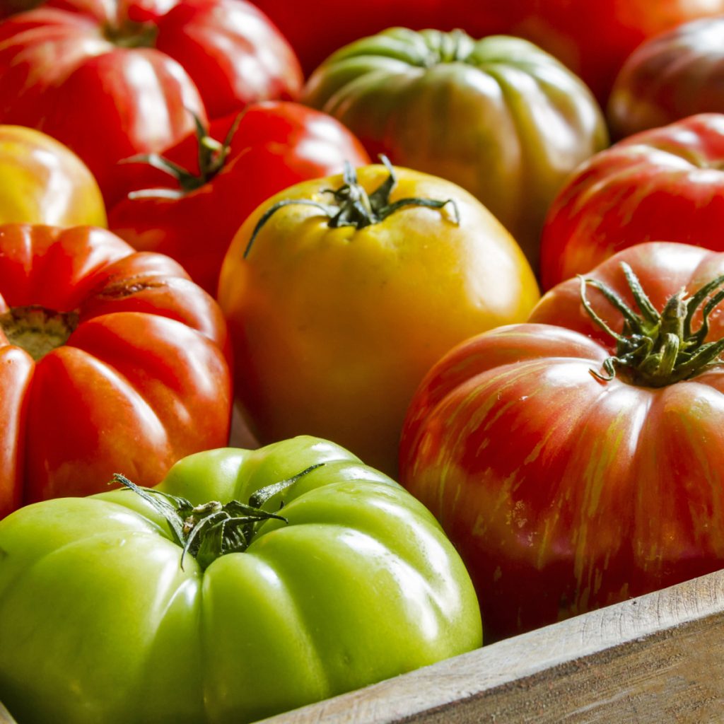 A wooden box full of different colors of beefsteak tomatoes.