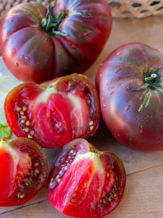 The Best Grow Lights For Tomato Seedlings Grow