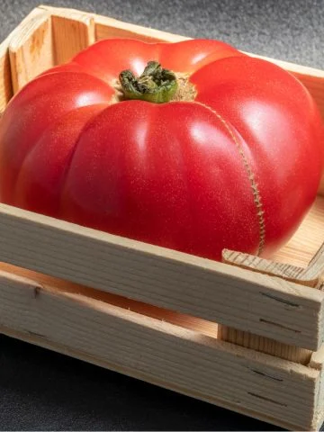 the mortgage lifter tomato