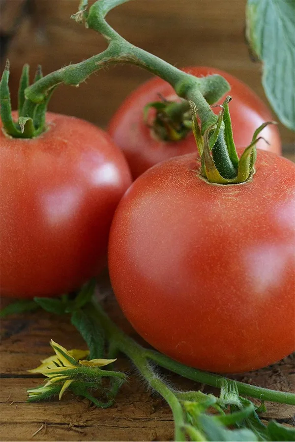Purple Ball Tomatoes