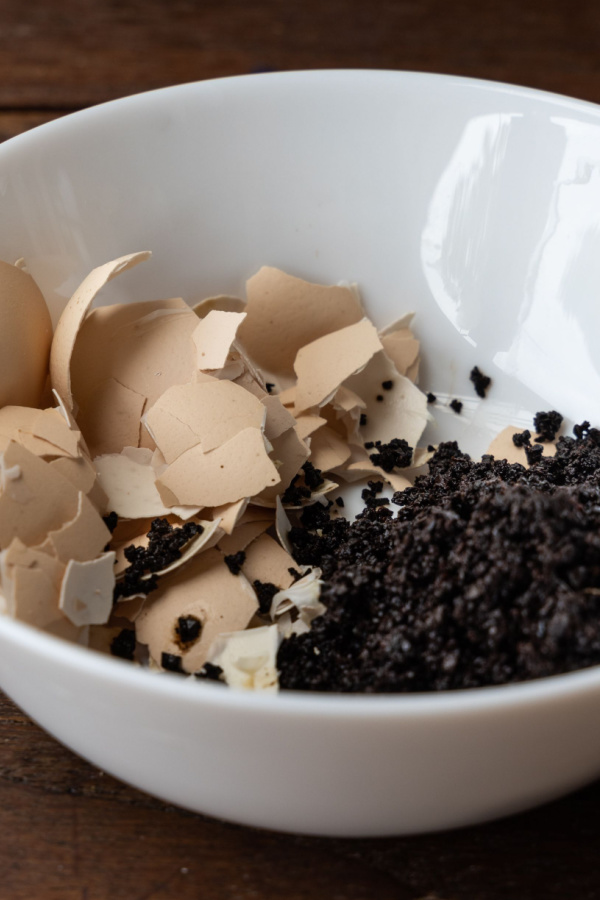 A bowl of egg shells and coffee grounds