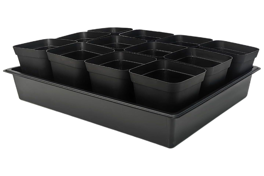 seed trays