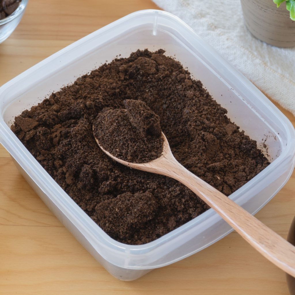 coffee grounds with tomato plants - How Coffee Grounds & Egg Shells Help Tomato Plants