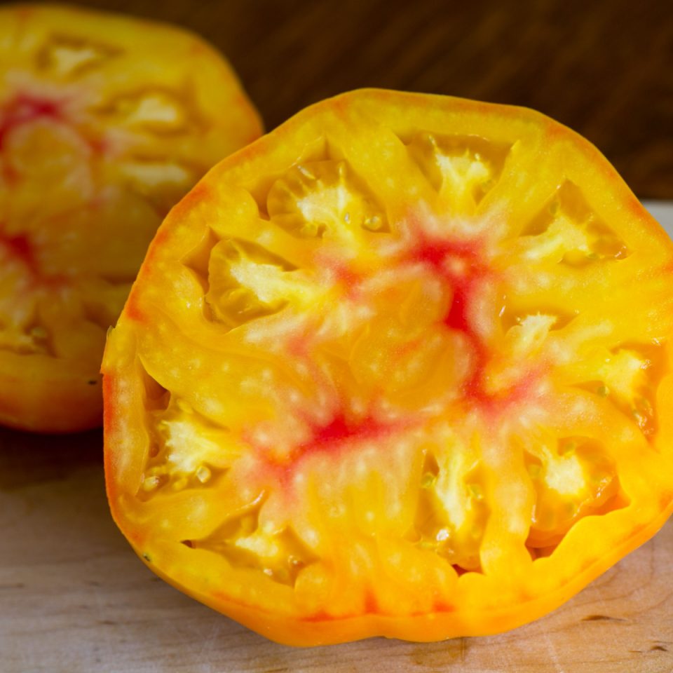 Growing Big Rainbow Tomatoes - The Perfect Beefsteak!