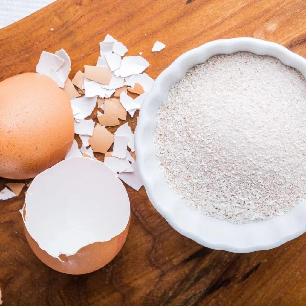 Powdered egg shells in a bowl