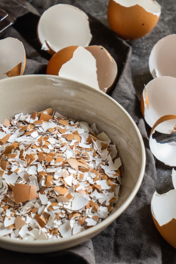 Crushed egg shells in a bowl