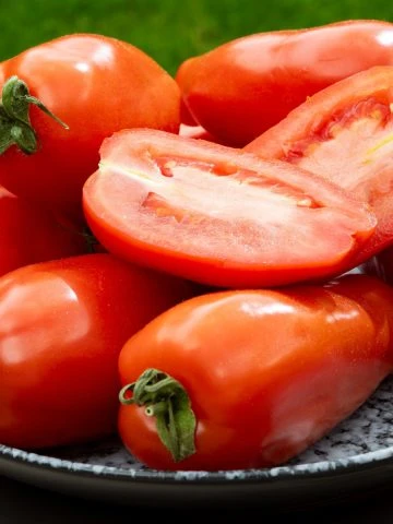 salsa tomato best