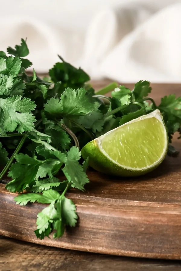 cilantro and lime 