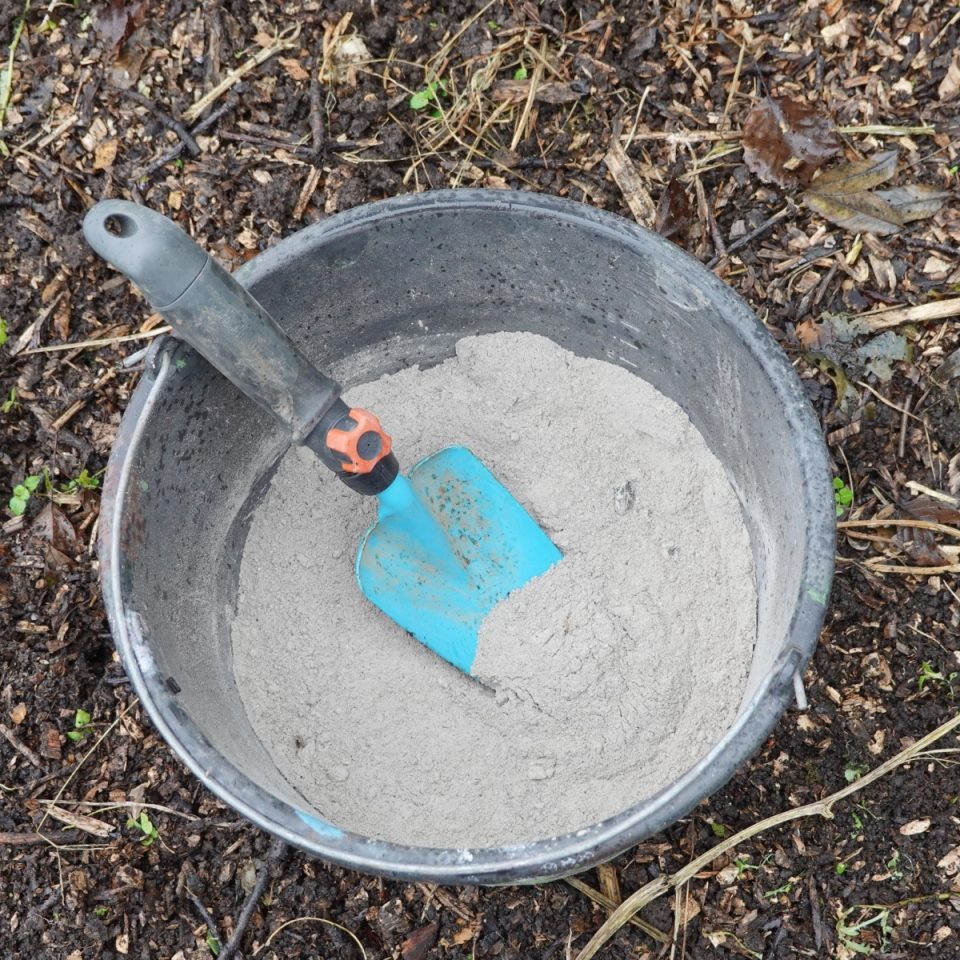 How To Use Wood Ashes On Tomato Plants Power Your Plants!