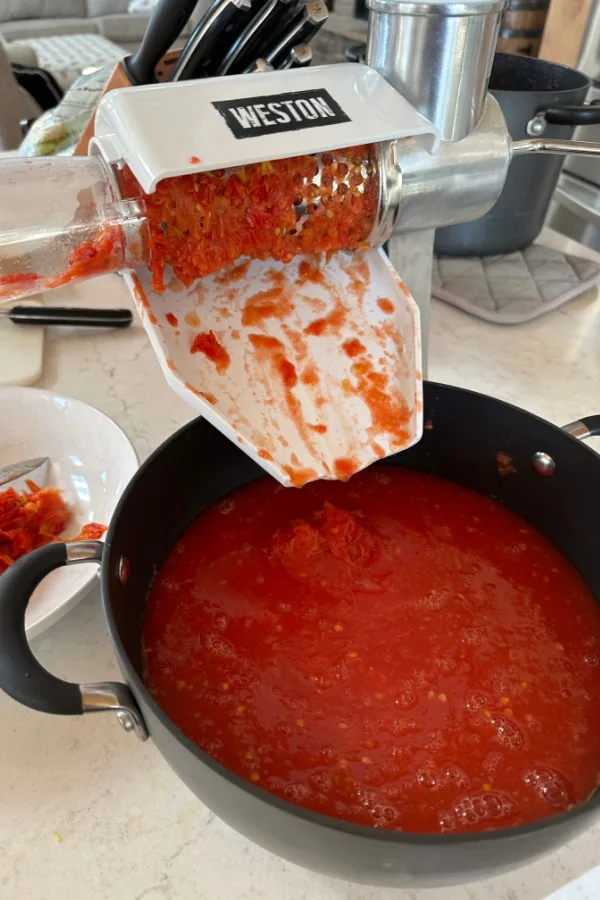 tomato stainer to make sauce