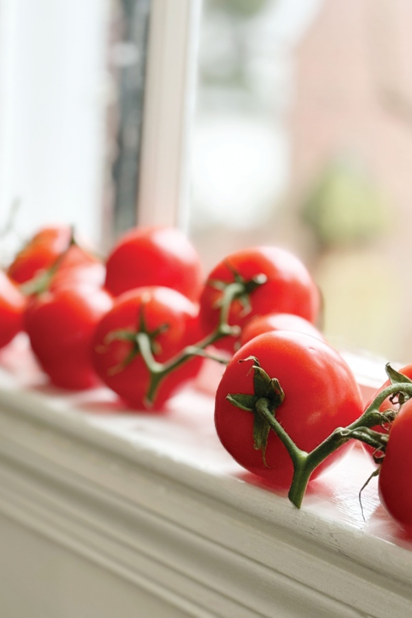 ripening tomatoes on windowsill - prevent fruit overload