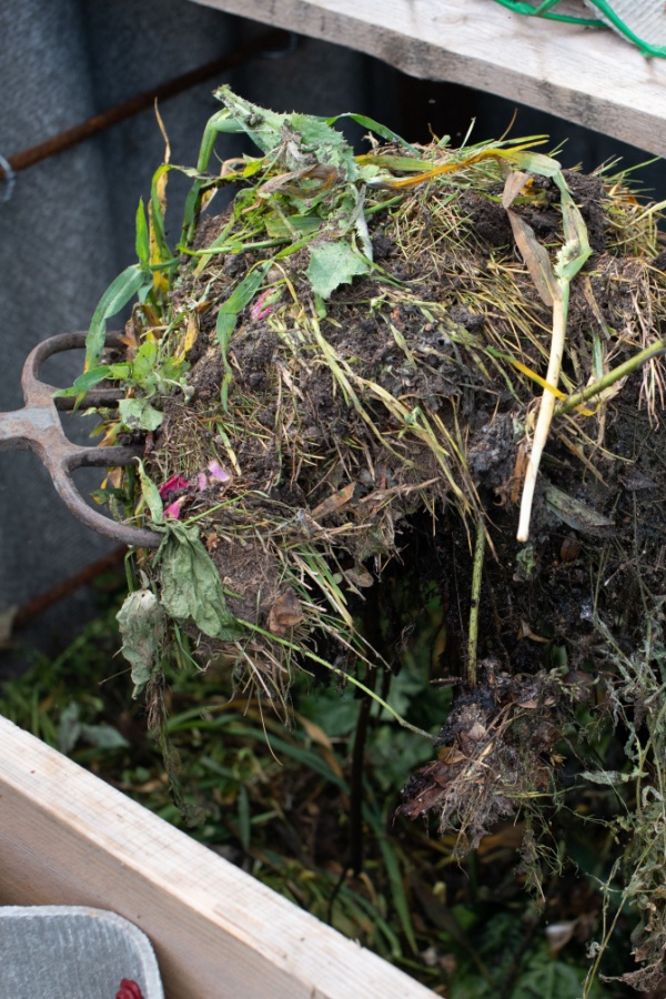 Home compost pile