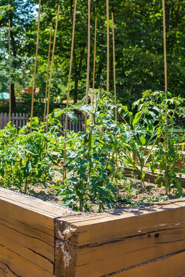 Raised bed growing