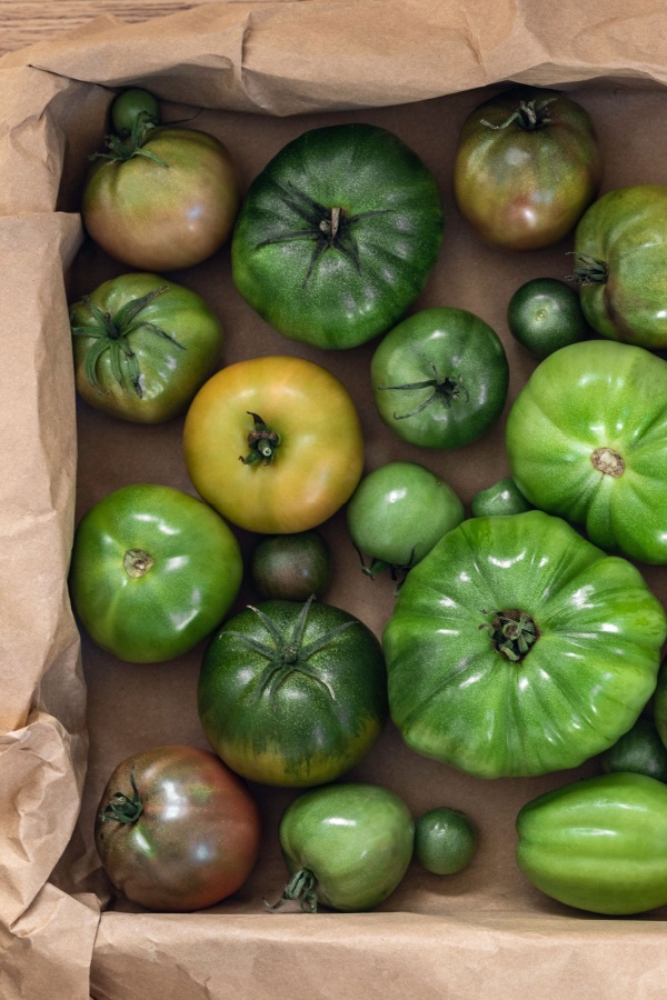 green tomatoes in a paper box