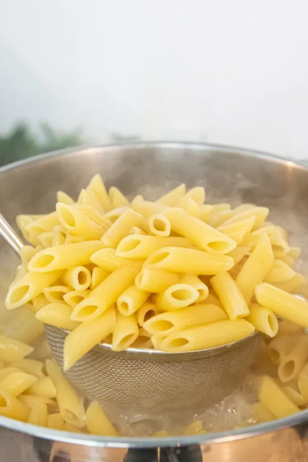 spoon of penne pasta
