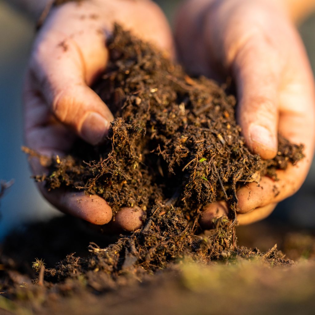 compost