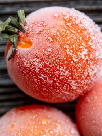 frozen tomatoes