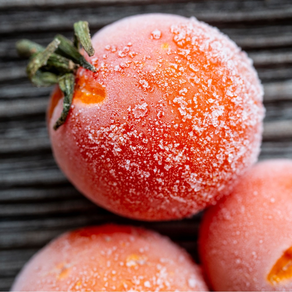 frozen tomatoes