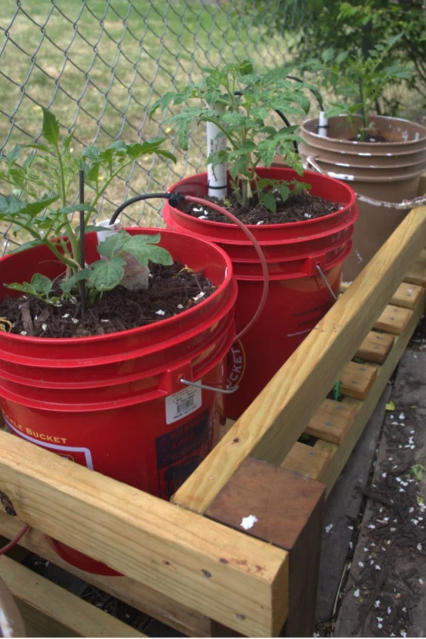drip irrigation