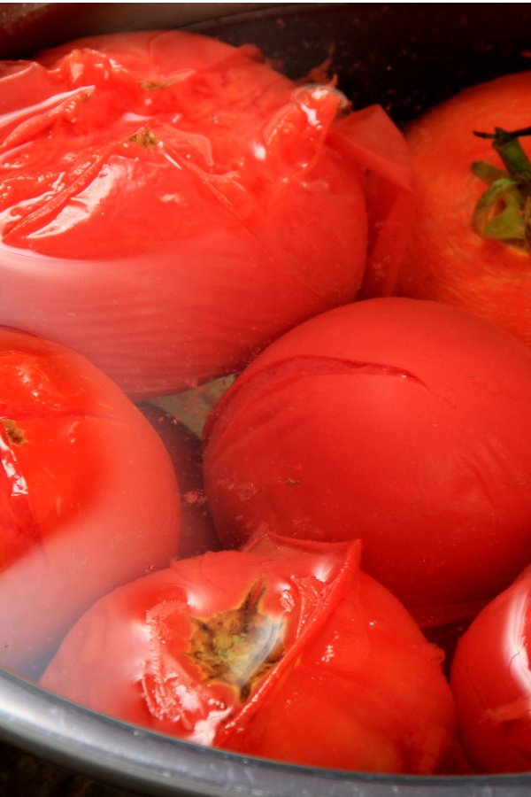 blanching tomatoes
