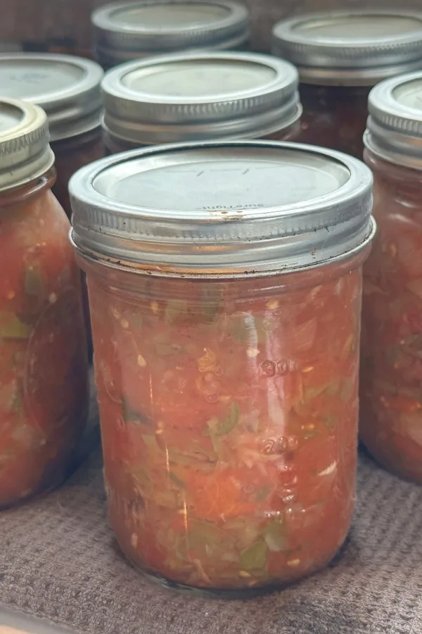 chunky salsa canned